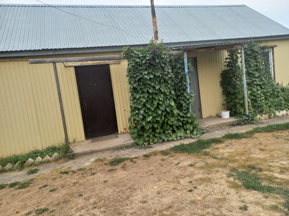 Продам дом в зачаганске