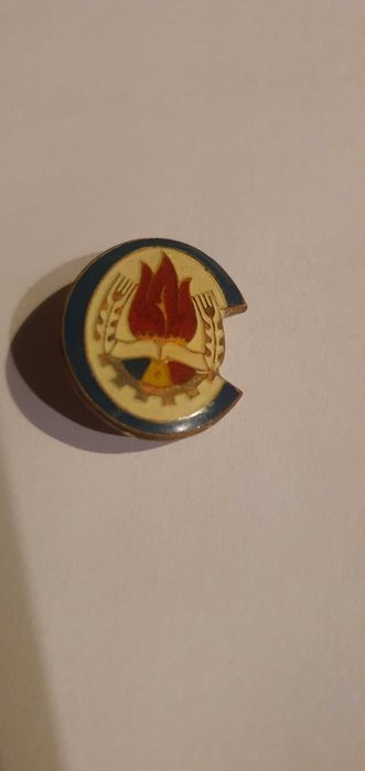 Insigne perioada comunista pionier, soimii patriei etc