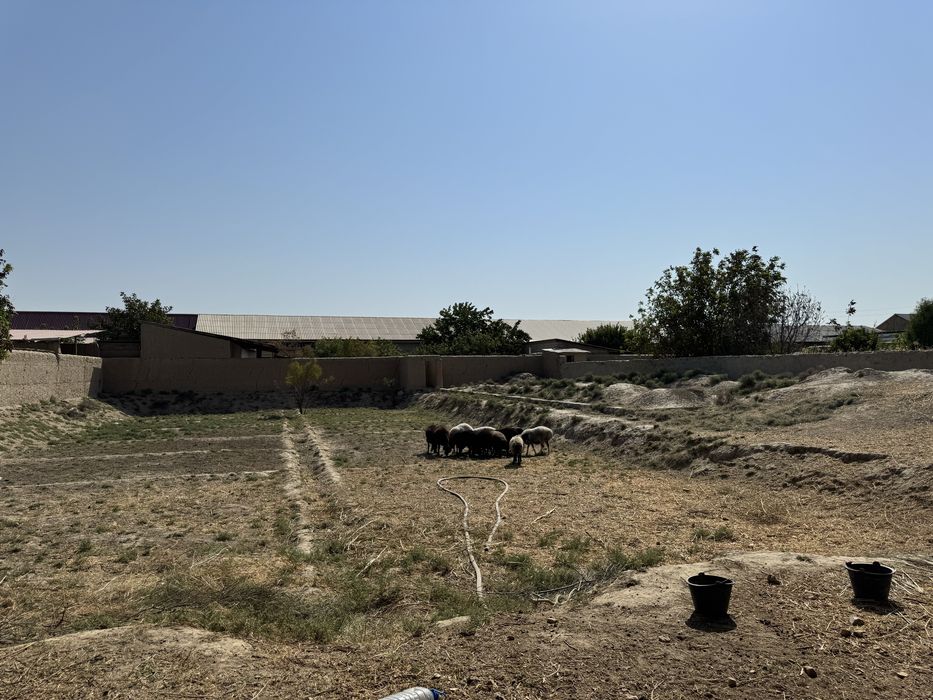 Navoiy shaxardan 16 sotixlik hovli sotiladi