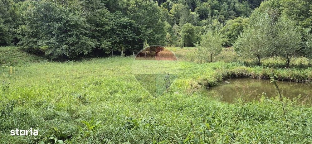 Teren de vis de 2.800 mp pe Valea Tărcăului – Cu lac natural și pădure