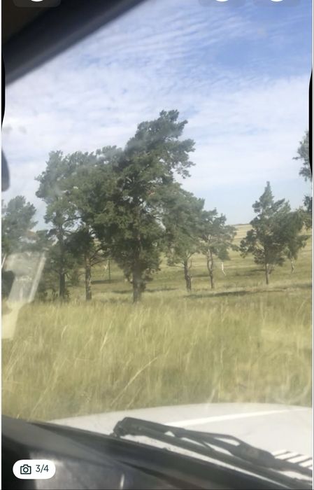 ТОО Сельхоз 5000 га