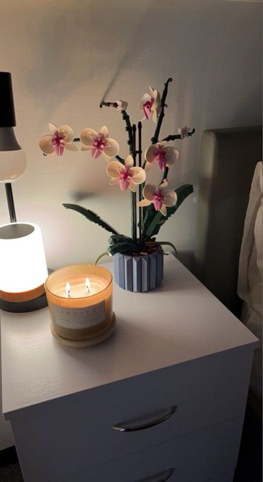 LEGO Orchid 10311 (Botanical Collection) — оригинальный набор