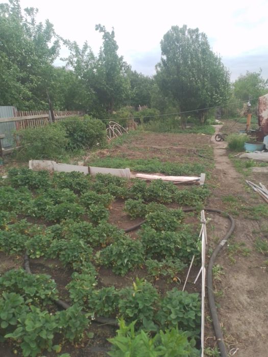 Продам дачу,срочно