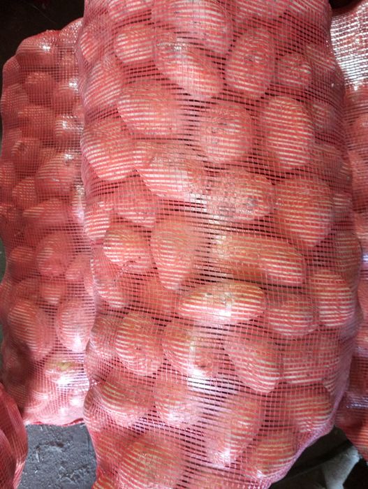 Кортофель домашний