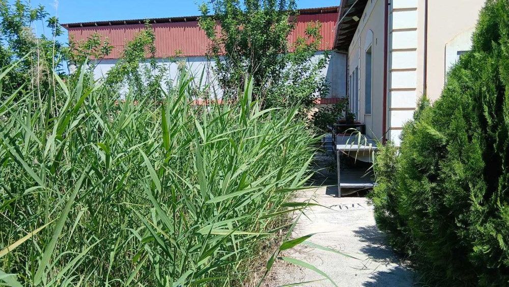 Коттеж 6 сотых Мотрит кургони 175000 уе