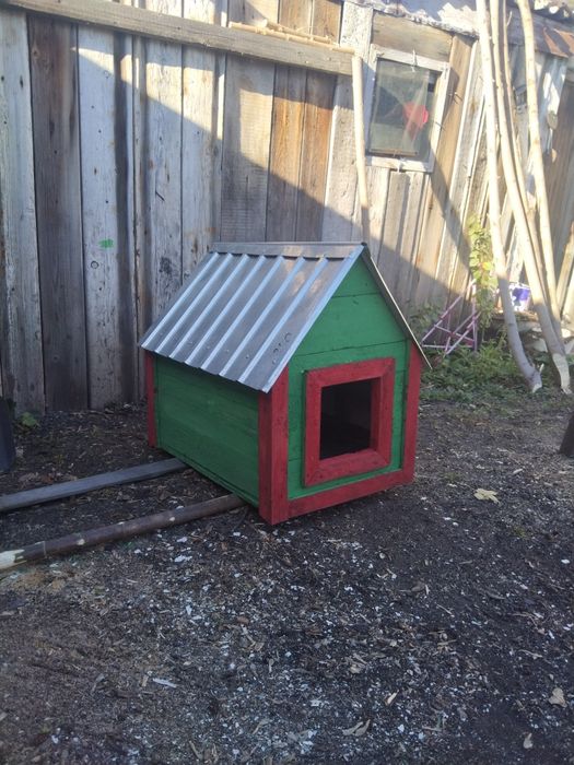 Будка для собак.