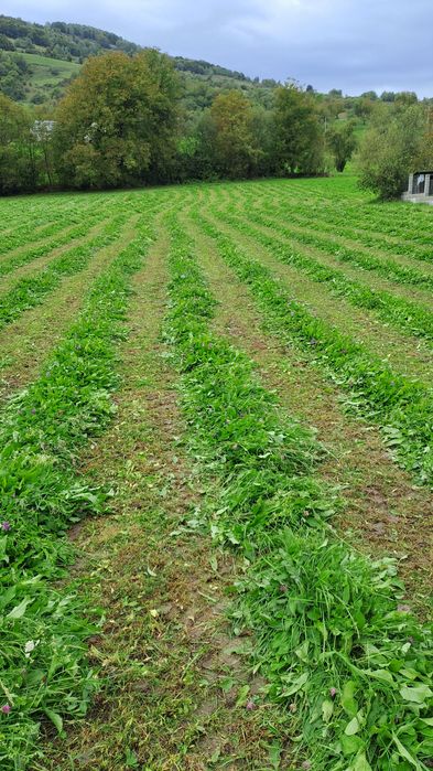 Baloți FÂN ȘI OTAVĂ.  .