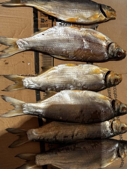 Рыба сушенная, крупная ,жирная (рыбец) в наличие смовызов