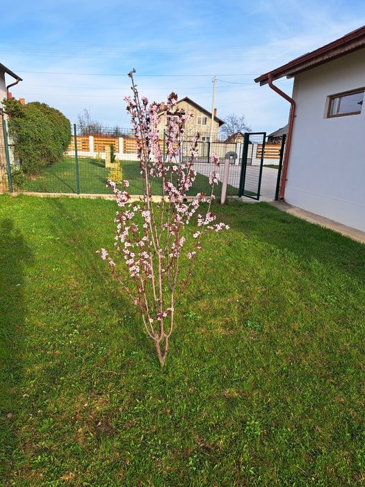 Casa moderna  intr-un peisaj de vis,situata intre Pitesti si Valcea