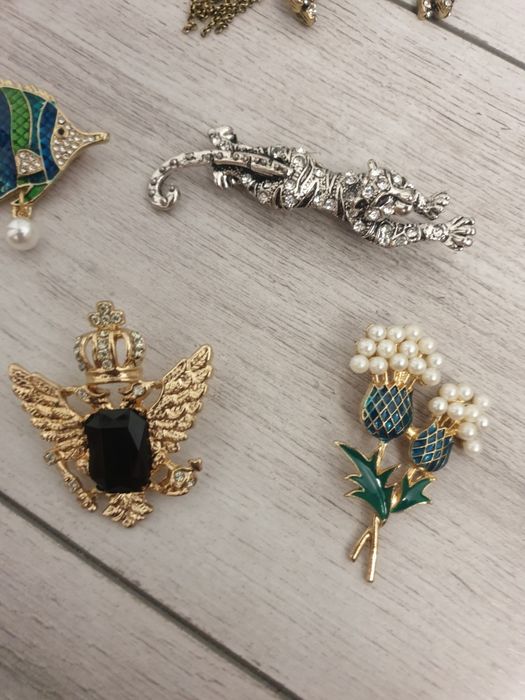 Brose noi superbe deosebite libelula cal pantera peste albina coroana