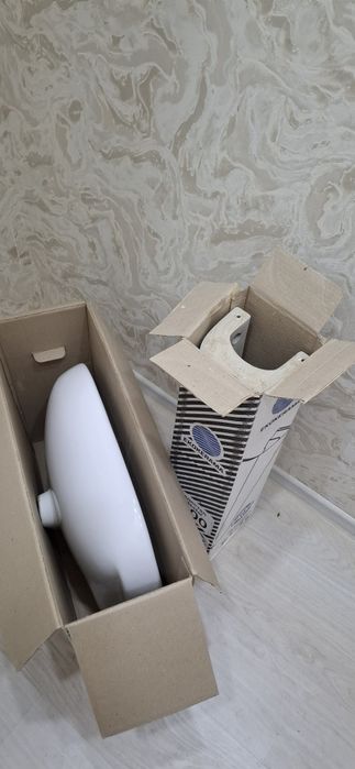 Раковина янги///.