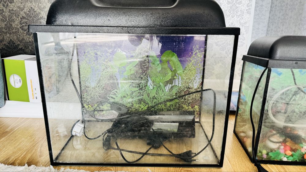 Акварум 35литр сатылымда