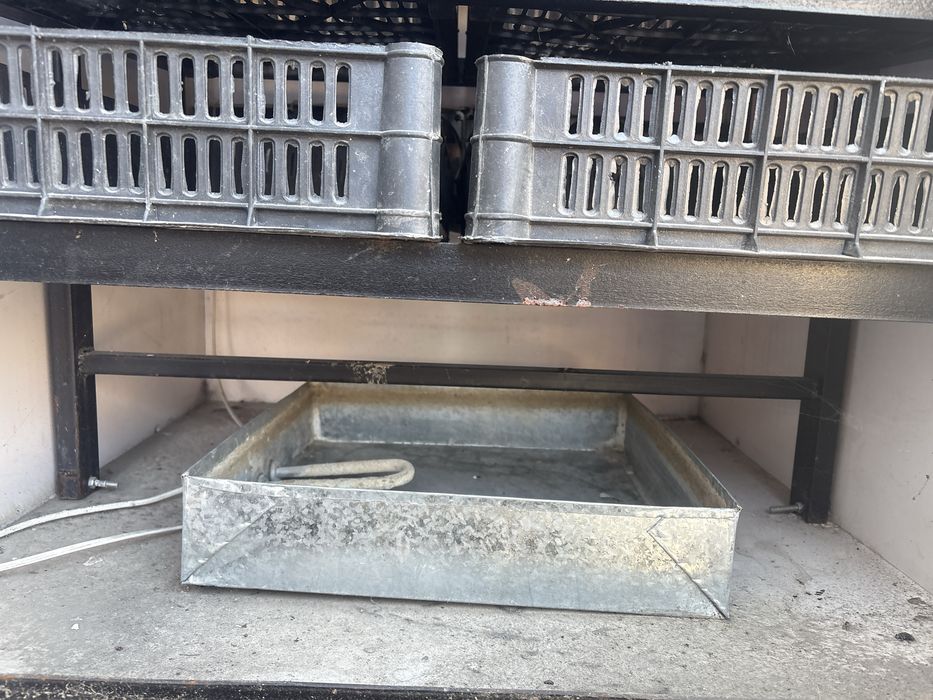 Инкубатор жағдайы өте жақсы