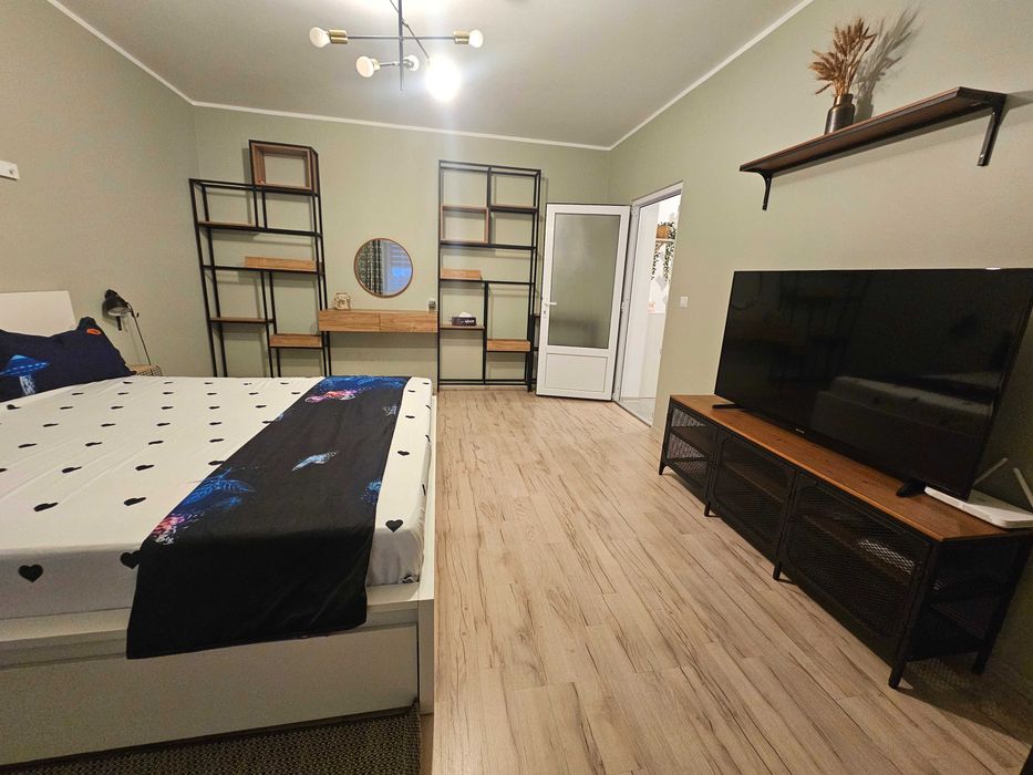 Apartament 1 camera Nae Leonard zona IFR