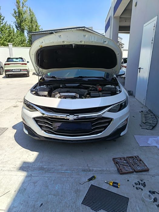 Malibu 2 premier va XL morda