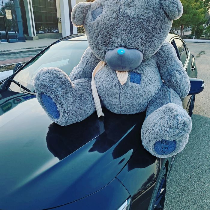 2  янги метрлик Тедди сотилади