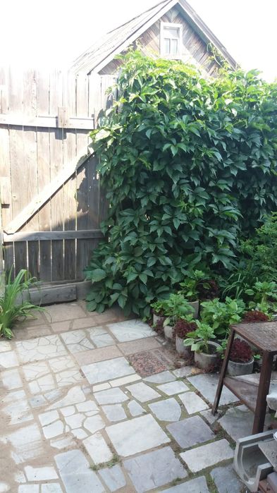 Продам дачу в с/о Борки