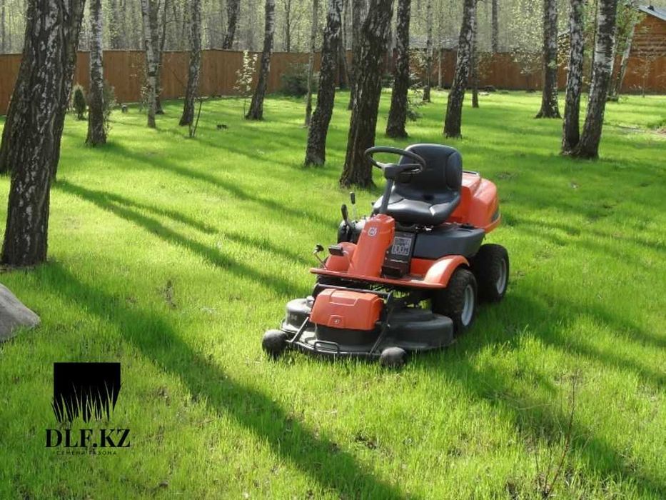 Многолетний газон Астана