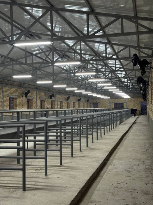 Продаётся ферма