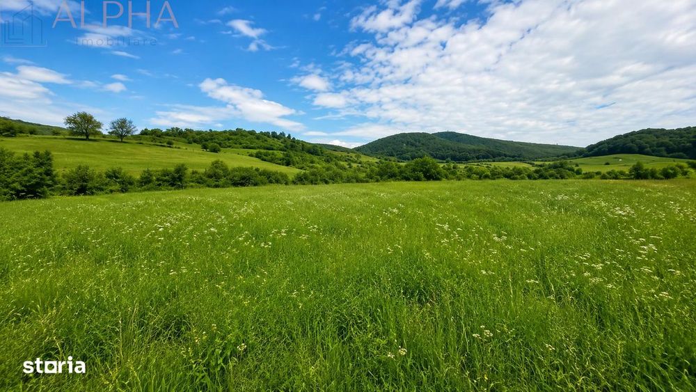 Casa Cu Teren Generos In Herina, Bn – Oportunitate De Investitie Turis