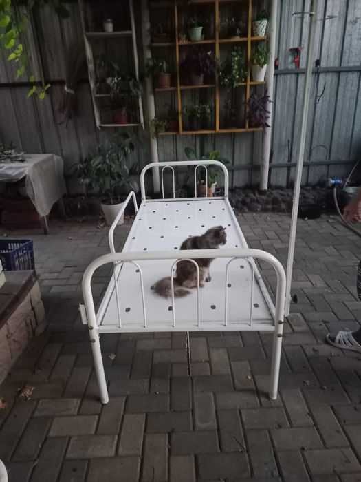 Продам кровать для лежачих.