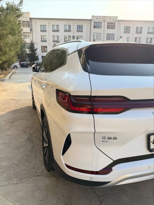Byd chempion 605