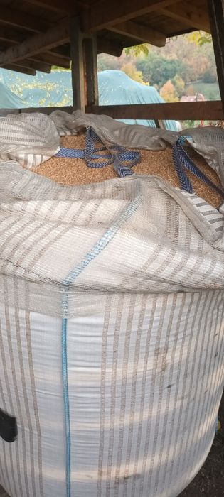 Grău si orz de vănzare