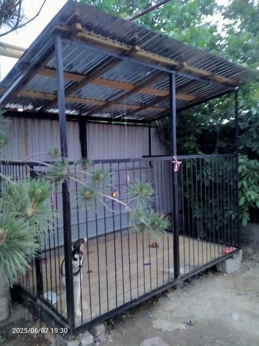 Вольер Новый для большой собаки !