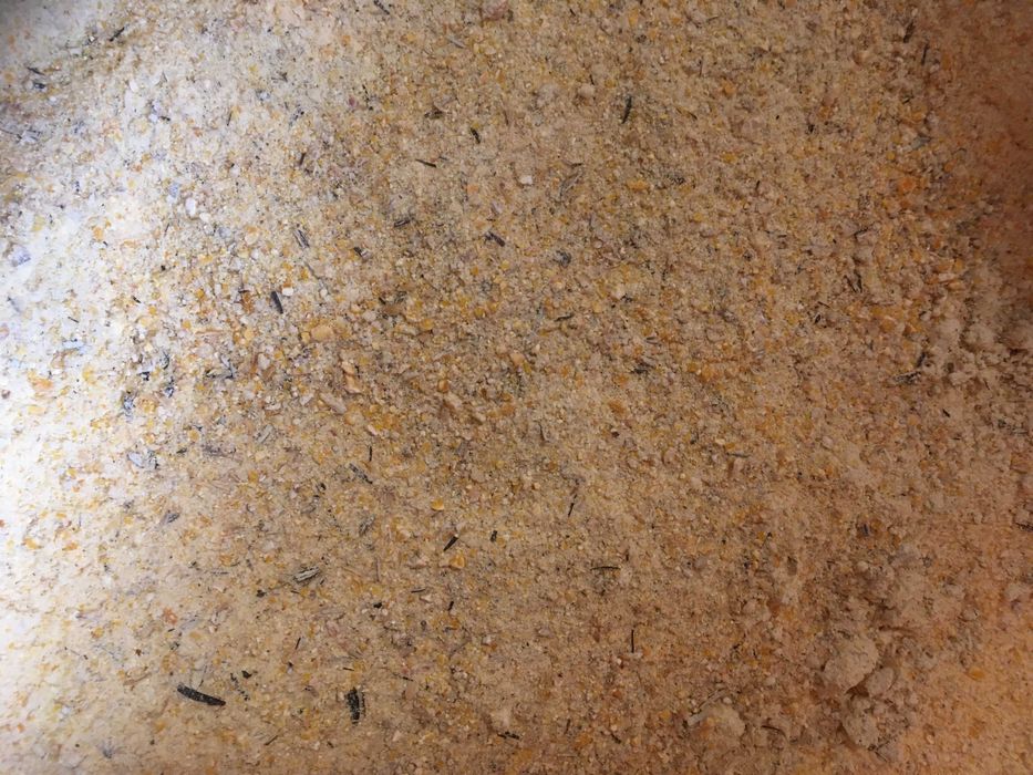 Faina  pentru animale si pasari ,Grau  porumb floarea soarelui