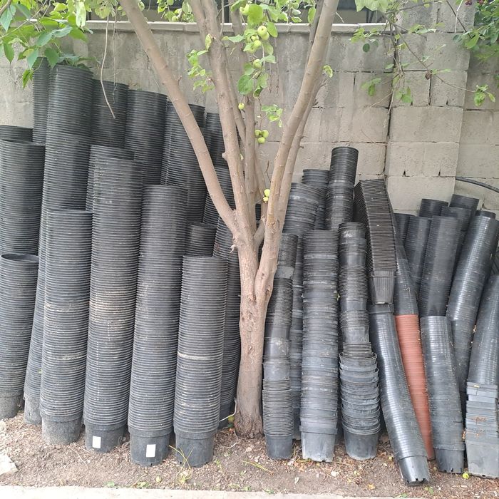 Горшки для саженцев и рассады