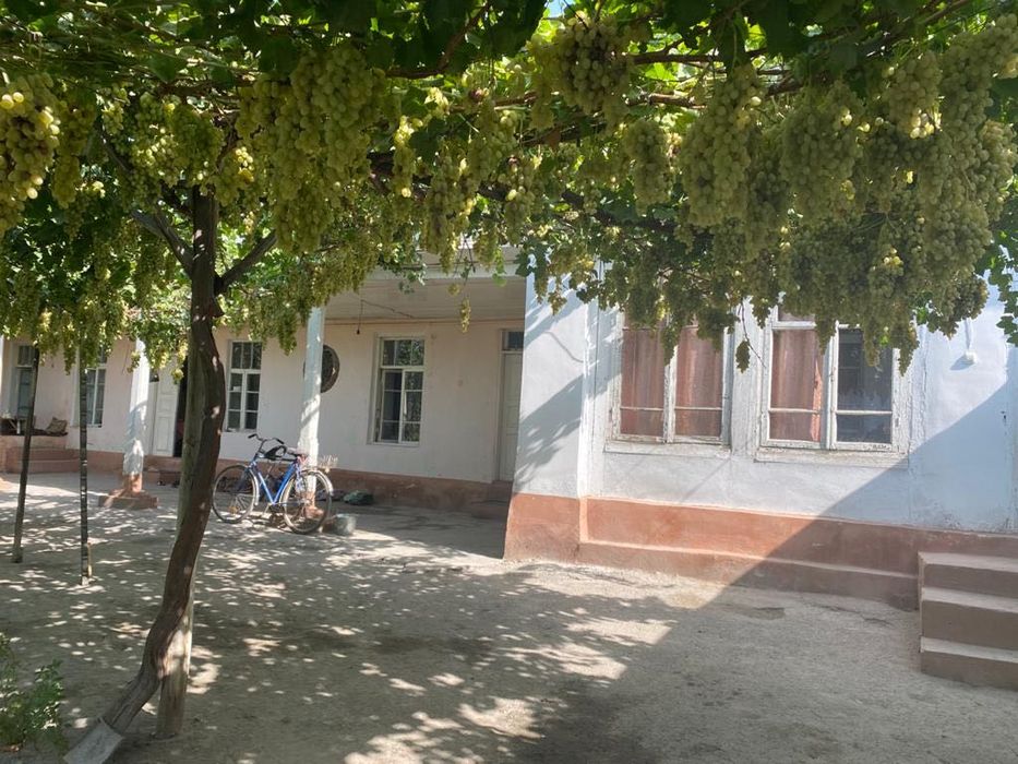 ZUDLIK BILAN yer sotiladi