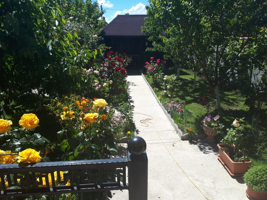 Vand casa p+1+mansarda