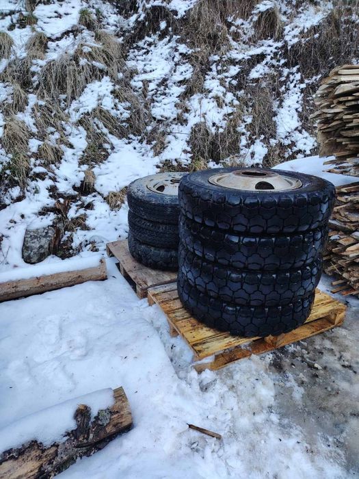 7 гуми размер: 8x25x20