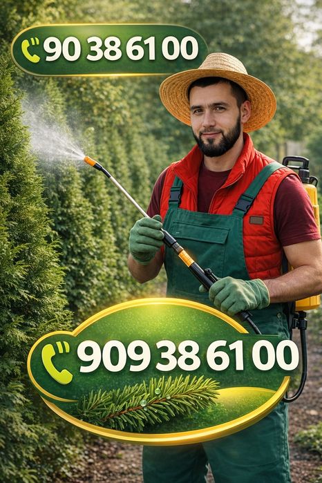 Кимйовий дорилаш