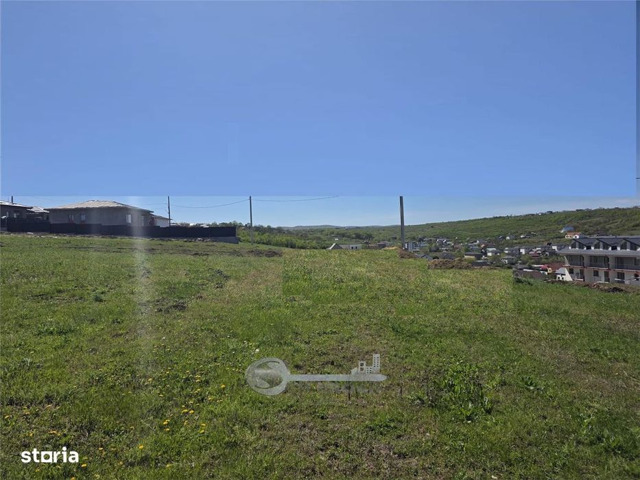 Teren Visan - priveliste deosebita