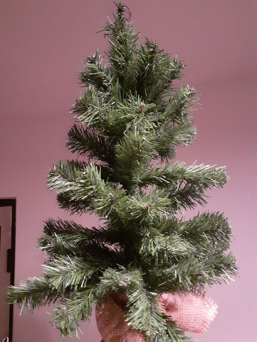 Brad 68cm la 70 lei