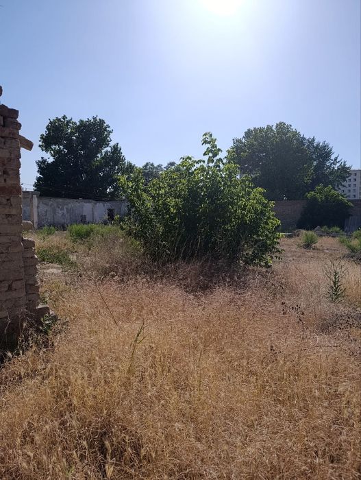 Пррдам участок Мирзоулугбек 40 сот .фасад 40 м.