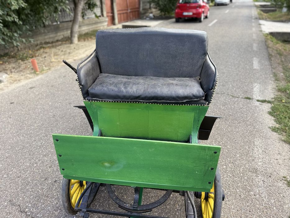 Caleasca/Trasura Cai Istorica