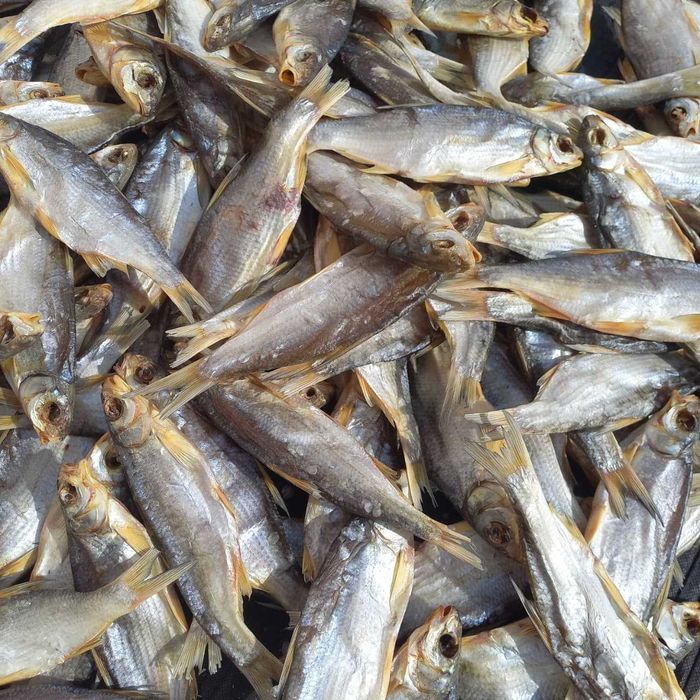 Рыбец сушёный (маленький размер)