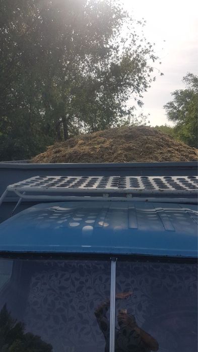 Силос для скота крс