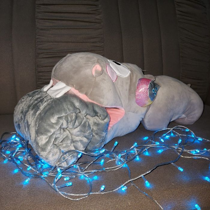 Мягкие игрушки пледы