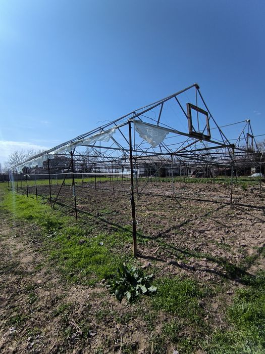 Teplitsa 6 sotx sotiladi