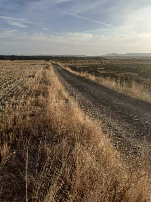 Продава се Парцел в с. Кошарица, Област Бургас - 3968 кв.м за 3 €/кв.м - Снимка #2