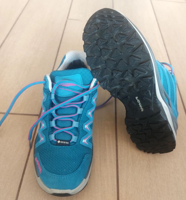 Lowa Innox Pro GTX Low