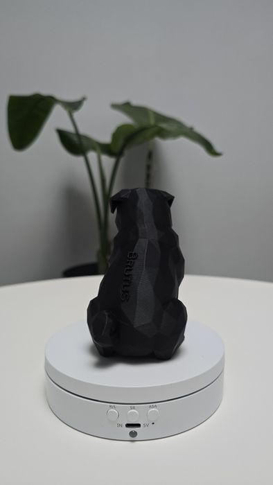 Caine Mops Low poly