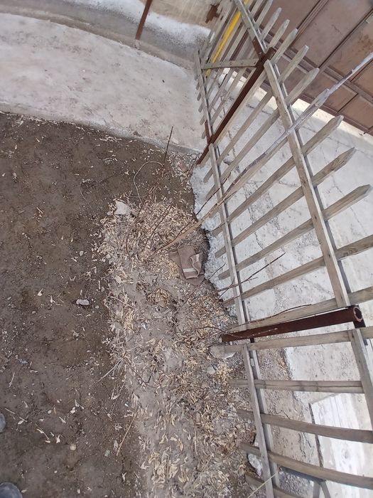 Клён ағаштары бар