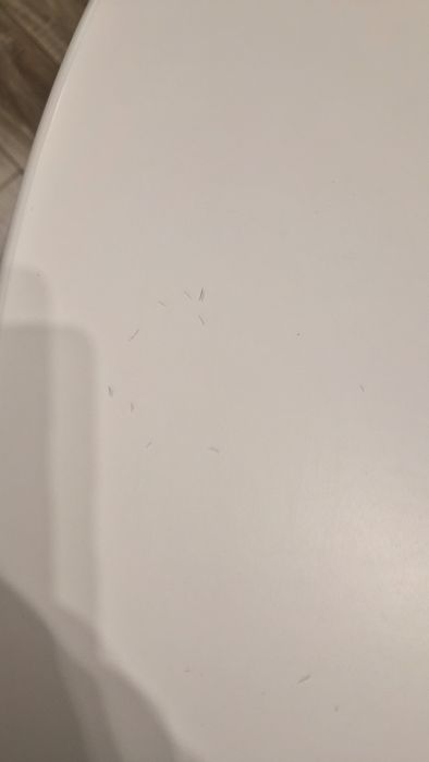 Кухненска маса Jysk Jegind