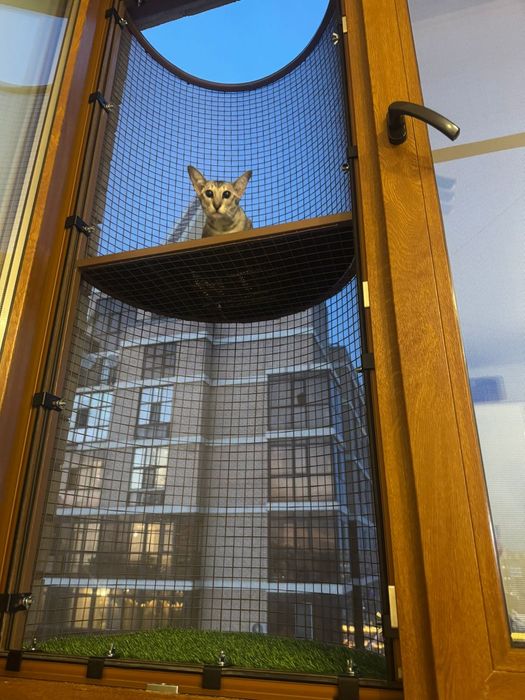 Эксклюзивный балкон для кошек