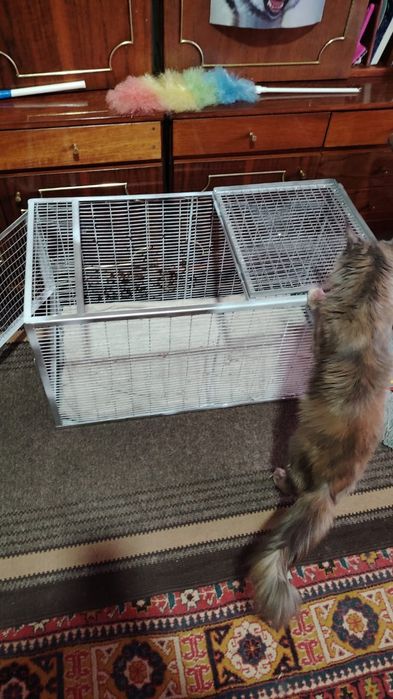 Клетка для животных