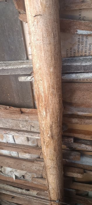 Tosin sotiladi 6.5 metrrli